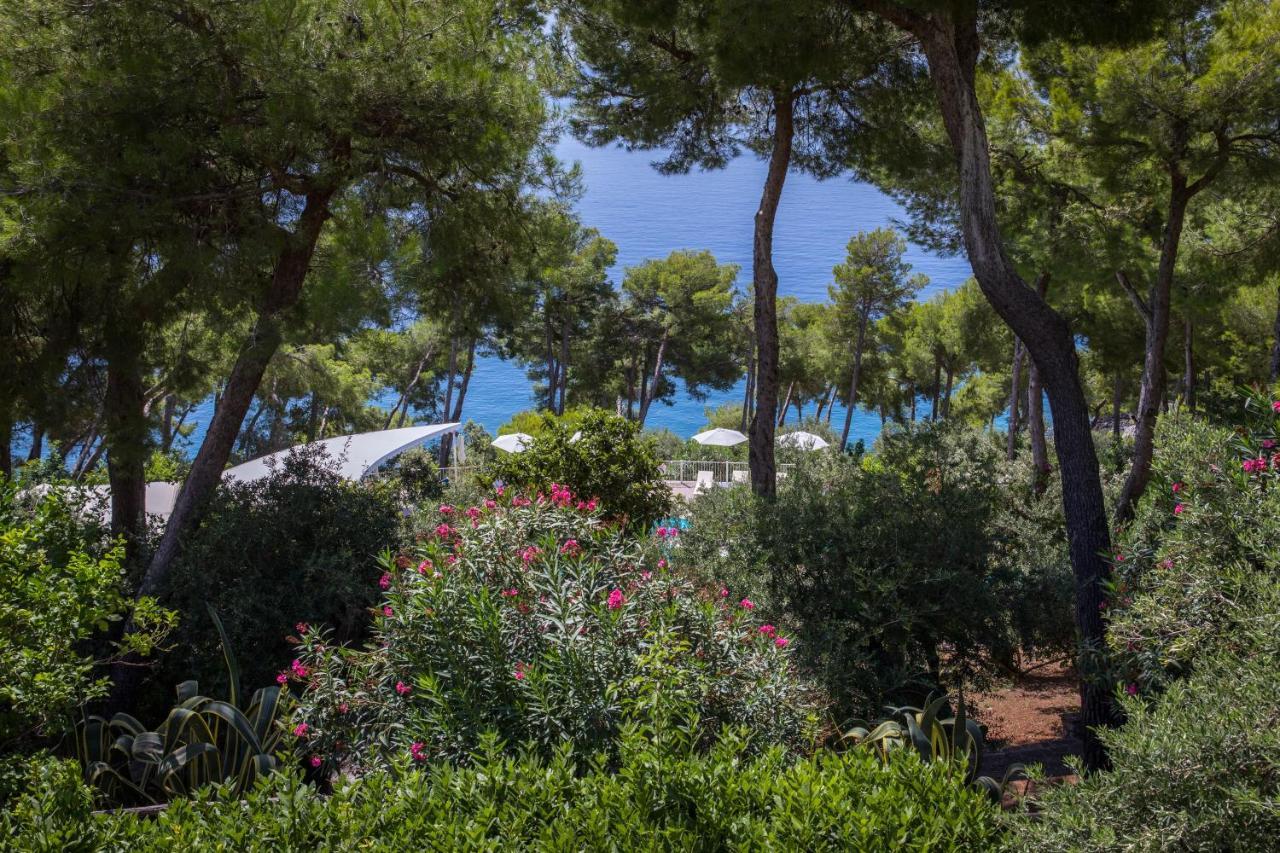 Delle Meraviglie Hotel Maratea